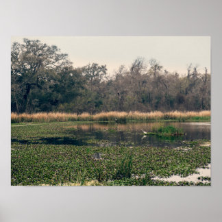 Poster Le Parc d'État de Brazos