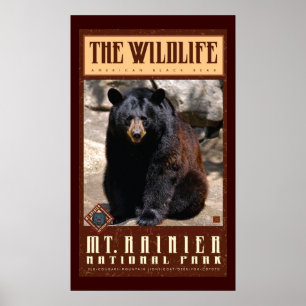 Poster Le parc du Mont Rainier Nat'l