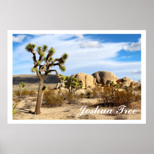 Poster Le Parc national de Joshua Tree