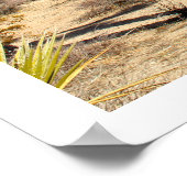 Poster Le Parc national de Joshua Tree (Coin)