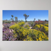 Poster Le Parc National De Joshua Tree À Bloom (Devant)