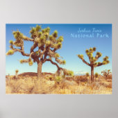 Poster Le Parc national de Joshua Trees (Devant)