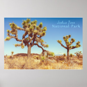 Poster Le Parc national de Joshua Trees