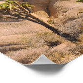 Poster Le Parc national de Joshua Trees (Coin)