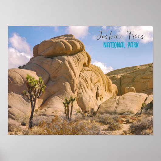 Poster Le Parc national de Joshua Trees (Devant)