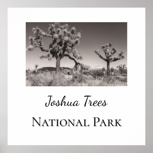 Poster Le Parc national de Joshua Trees (Devant)