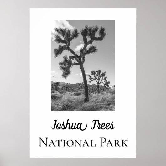 Poster Le Parc national de Joshua Trees (Devant)