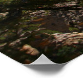 Poster le parc national de la zion (Coin)