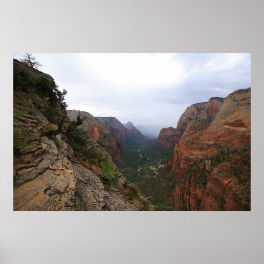 Poster le parc national de la zion (Devant)