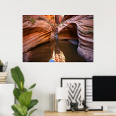 Poster le parc national de la zion (Bureau à domicile)