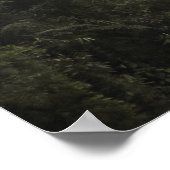 Poster Le Parc national de Manu (Coin)