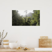 Poster Le Parc national de Manu (Cuisine)