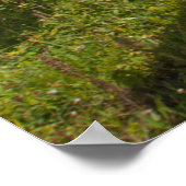 Poster Le Parc national de North Cascades (Coin)