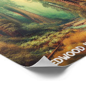 Poster Le parc national de Redwood Californie (Coin)