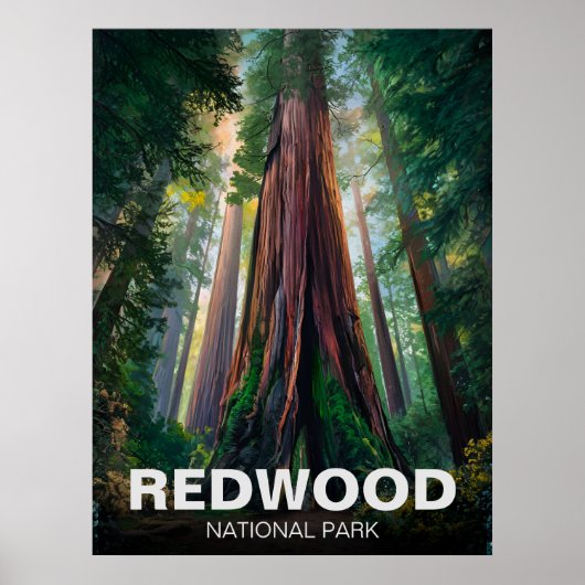 Poster Le parc national de Redwood, Californie côtière (Devant)