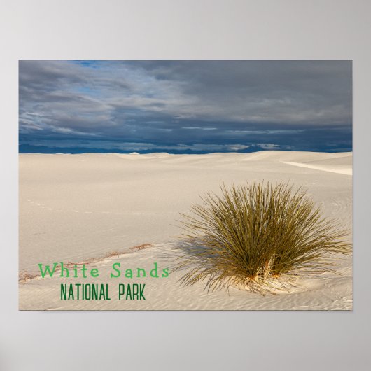 Poster Le parc national de White Sands (Devant)