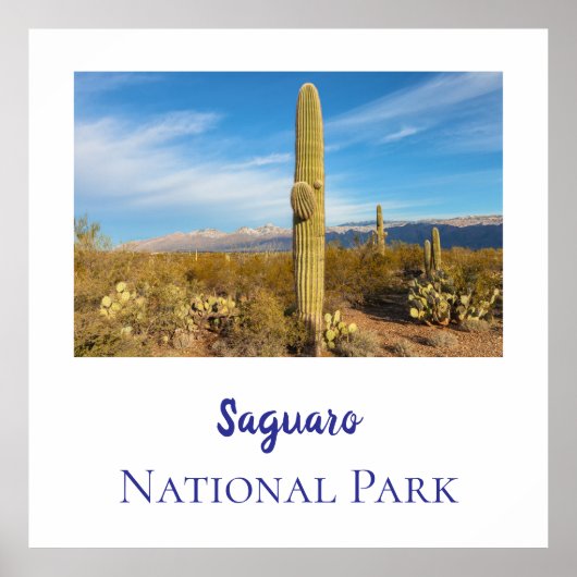 Poster Le Parc national du Saguaro (Devant)