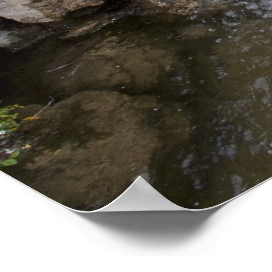 Poster Le parc Setagaya (Coin)