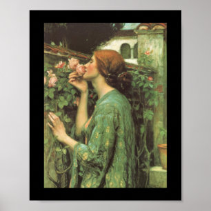 Poster Le parfum du Rose