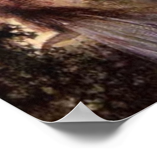 Poster Le passage des fées (Coin)