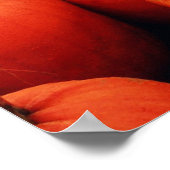 Poster Le patch Citrouille (Coin)