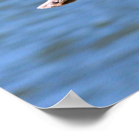 Poster Le patron (Coin)