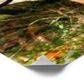 Poster Le patron (Coin)