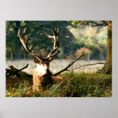 Poster Le patron (Devant)