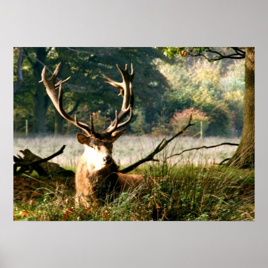 Poster Le patron (Devant)