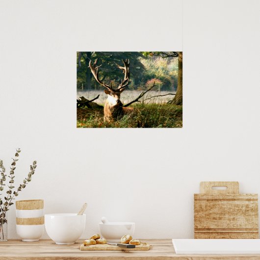 Poster Le patron (Cuisine)