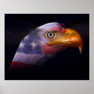 Poster Le pays des Libres, foyer des Courageux