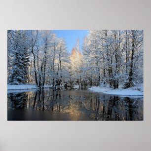 Poster Le pays des merveilles d'hiver