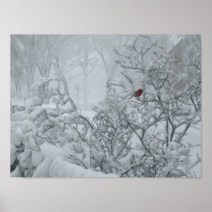 Poster Le pays des merveilles d'hiver