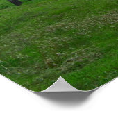 Poster Le paysage du Kansas (Coin)