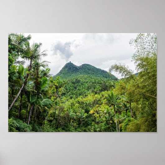 Poster Le paysage du mont Britton et du mont el yunque (Devant)