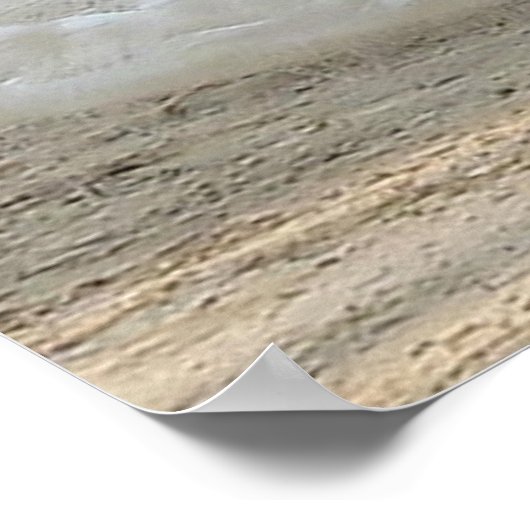 POSTER LE PEACOCK BLANC (Coin)