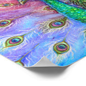 Poster Le Peacock Parfait. (Coin)