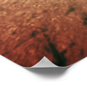 Poster Le Penman Wellfleet (Coin)