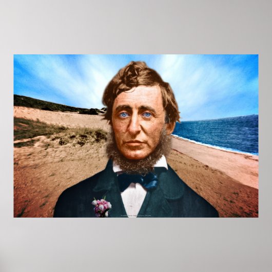 Poster Le Penman Wellfleet (Devant)