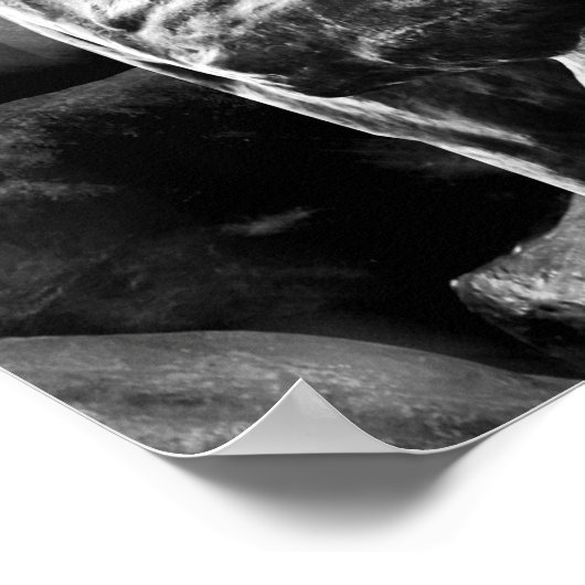 Poster Le penseur (Coin)