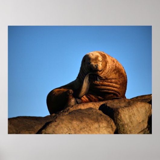 Poster Le penseur - Imprimantes d'art (Devant)