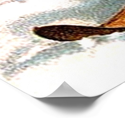 Poster Le Père Noël (Coin)