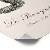 Poster Le Perroquet Jaune ecaille de rouge (Coin)