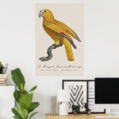 Poster Le Perroquet Jaune ecaille de rouge (Bureau à domicile)
