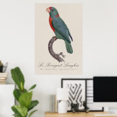 Poster Le Perroquet Langlois de Jacques Barraband (Bureau à domicile)