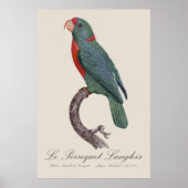 Poster Le Perroquet Langlois de Jacques Barraband (Devant)