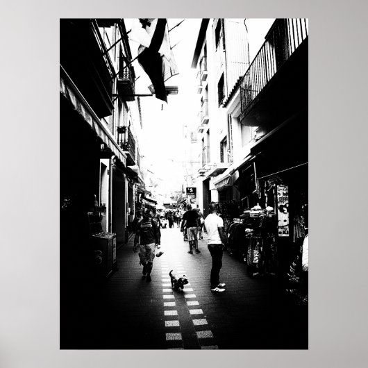 Poster Le petit chien dans la rue (Devant)