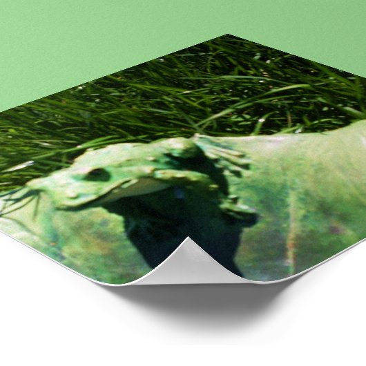 POSTER LE PETIT FROG (Coin)