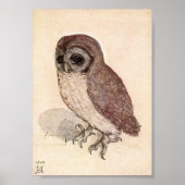 Poster Le Petit hibou | Albrecht Dürer (Devant)