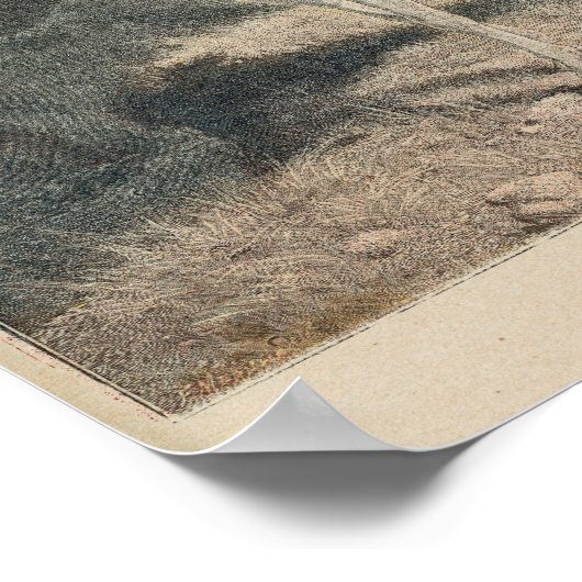 Poster Le Petit Journal (Coin)